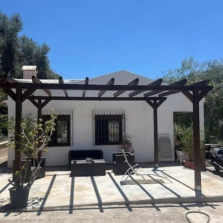 Farmhouse Surrounded By Centenary Olive Trees Olías Esterno foto