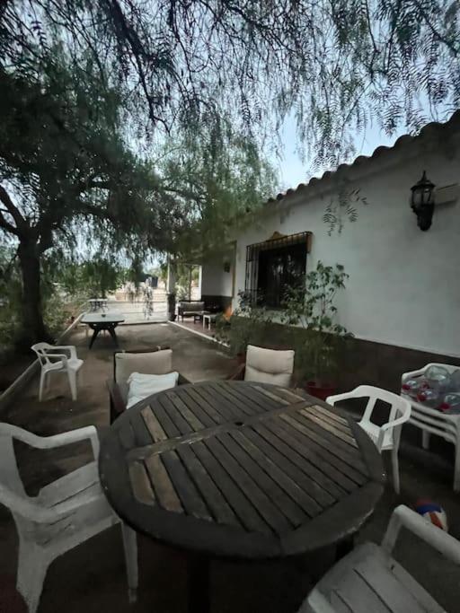 Farmhouse Surrounded By Centenary Olive Trees Olías Esterno foto