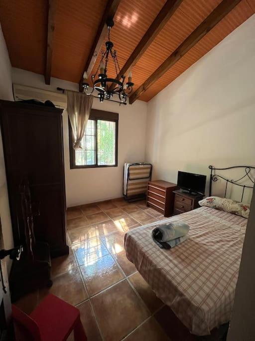 Farmhouse Surrounded By Centenary Olive Trees Olías Esterno foto