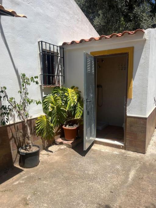 Farmhouse Surrounded By Centenary Olive Trees Olías Esterno foto