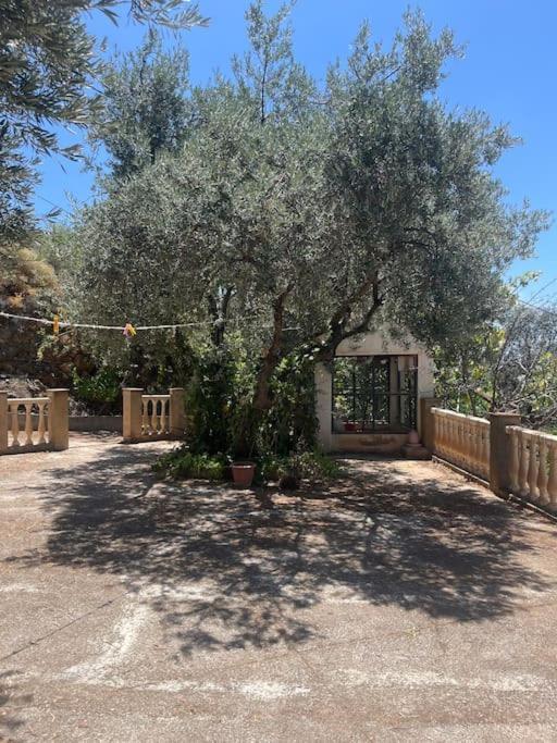 Farmhouse Surrounded By Centenary Olive Trees Olías Esterno foto
